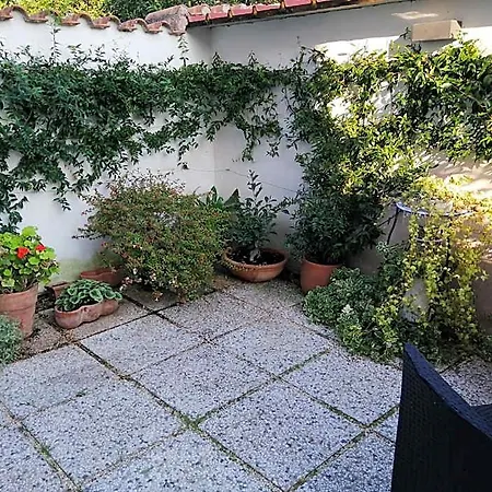 皮科罗住宿加早餐旅馆 4* 菲乌米奇诺