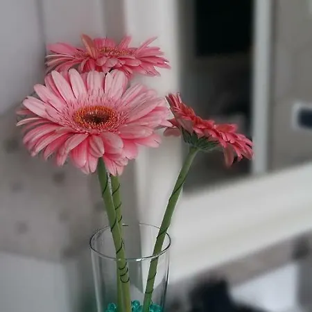 Frühstückspension Il Piccolo Fiumicino