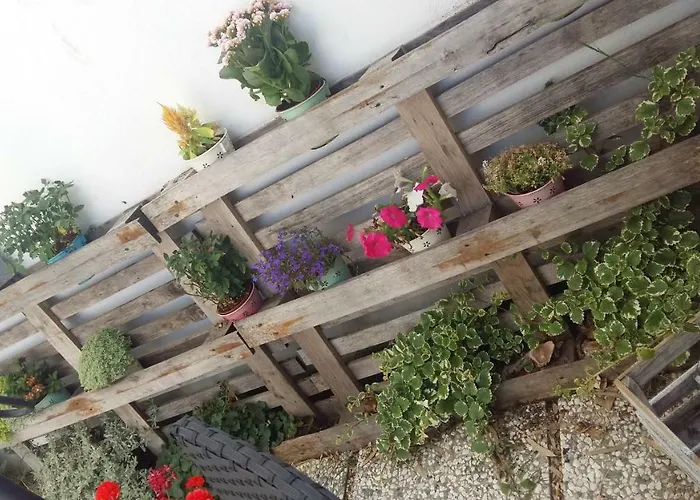 Bed and Breakfast Il Piccolo Φιουμιτσίνο